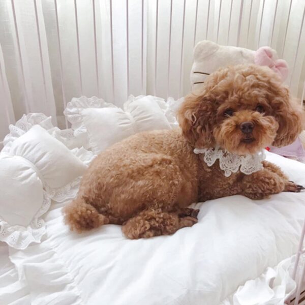 Cute Princess Ruffle Trim Removable Oval Cushion Dog Bed - Image 6